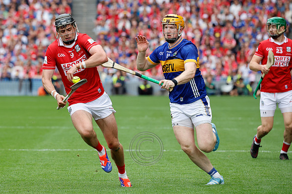 TIPP V CORK PLAY-1053