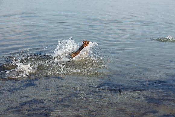 HOT WEATHER SALTHILL