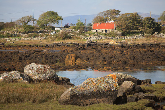 COTTAGE CONNEMARA-0100