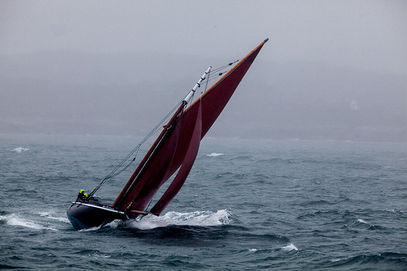 FéileRosamhil14_02-0102