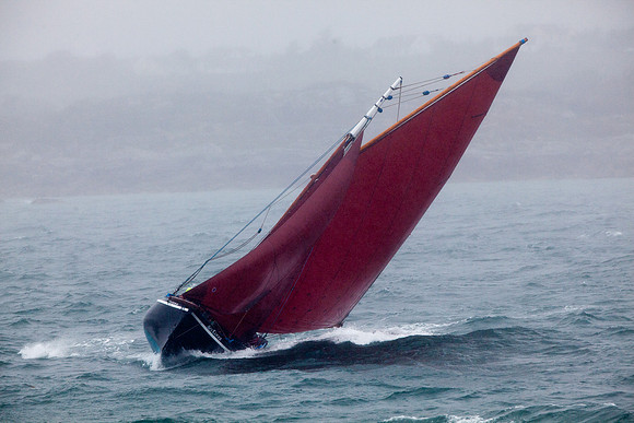 FéileRosamhil14_02-0085