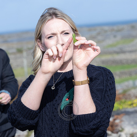 AEDÍN NÍ THIARNAIGH-8