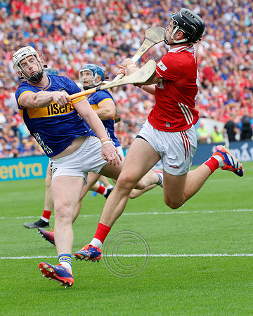 TIPP V CORK PLAY-1398