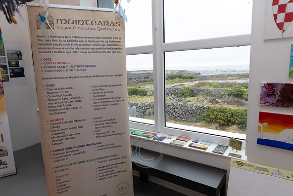 INIS OÍRR-0270