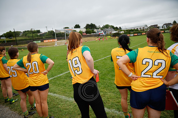 CLANN NA nGAEL V N FIONNBARRA-453