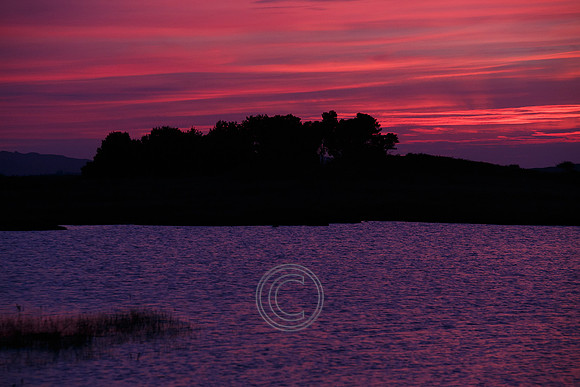 CONNEMARA BOG PIER-0058