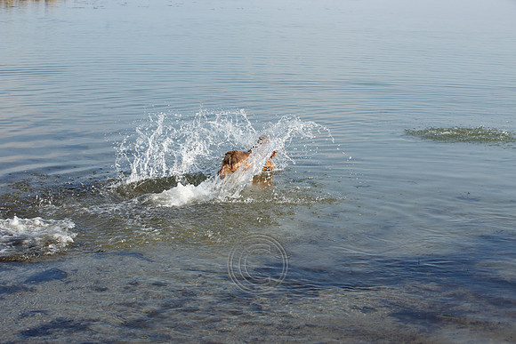 HOT WEATHER SALTHILL