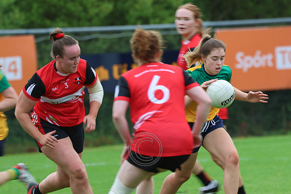 CLANN NA nGAEL V N FIONNBARRA-213