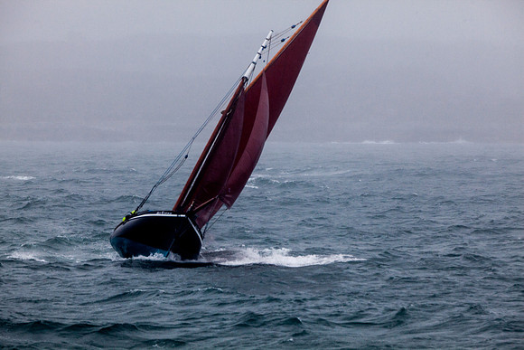 FéileRosamhil14_02-0100
