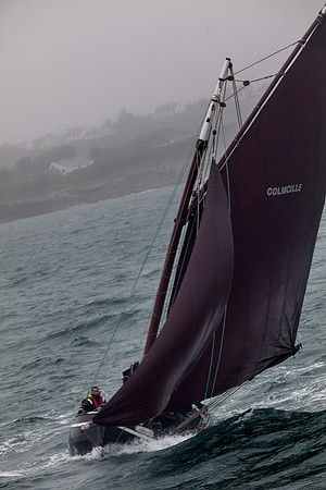 FéileRosamhil14_02-0175