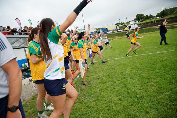 CLANN NA nGAEL V N FIONNBARRA-505