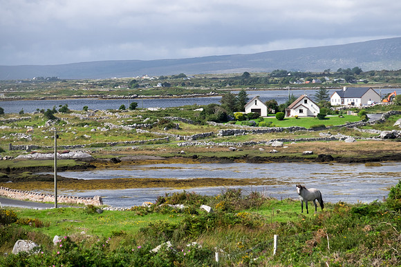 12_Muiceanach_Idir_Dhá_Sháile-7324