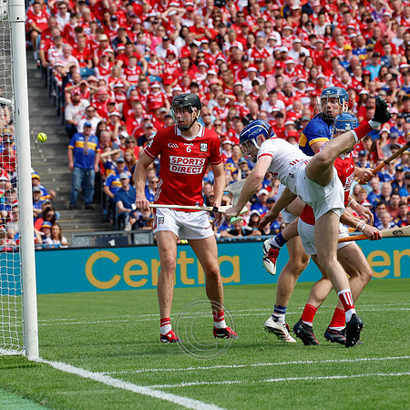 TIPP V CORK PLAY-0653