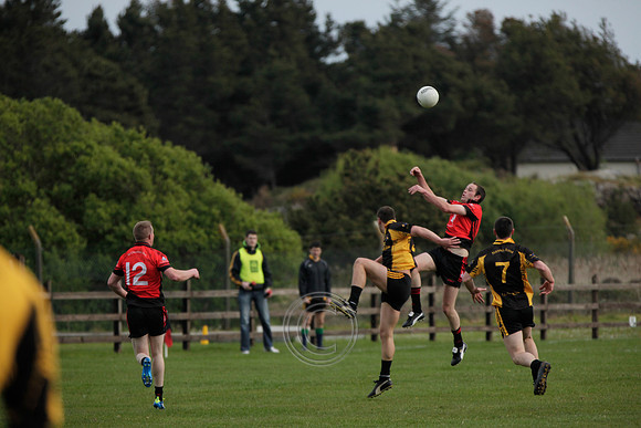 AN CHEATHRÚ RUA CLG 2012-13