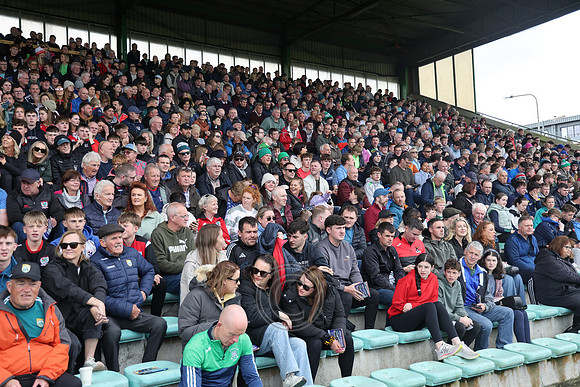 AN GHAELTACHT V FOSSA, 2025