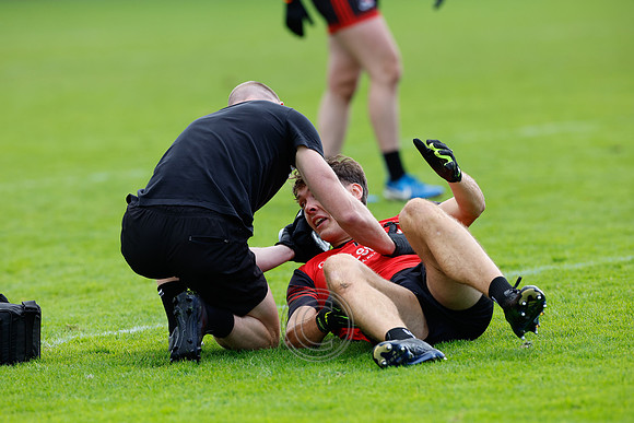 AN GHAELTACHT V FOSSA, 2025