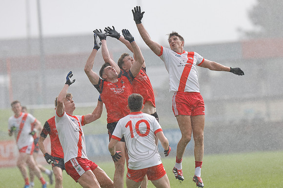 AN GHAELTACHT V FOSSA, 2025