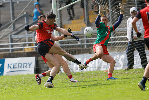 AN GHAELTACHT V FOSSA, 2025