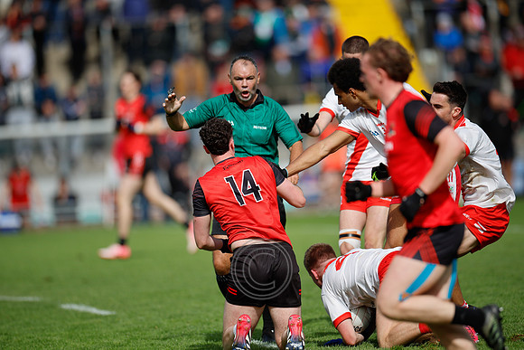 AN GHAELTACHT V FOSSA, 2025