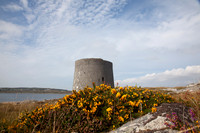 MARTELLO TOWER TÚR 2013-1761