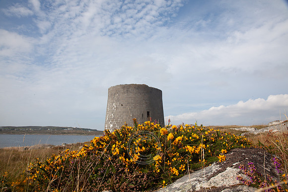 MARTELLO TOWER TÚR 2013-1761