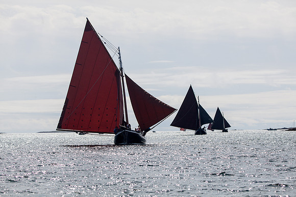 Féile_CnaRón2_14-8404