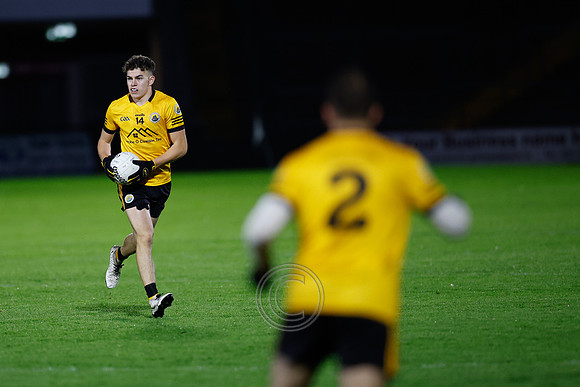 CARNA CAISEAL 2025-43