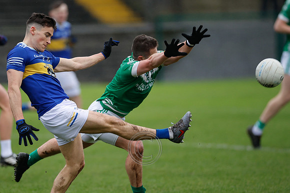 Finnian Ó Laoi. AN SPIDÉAL V CEALTRACH 2025