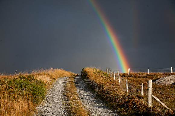 033 Rainbow lane _MG_5289