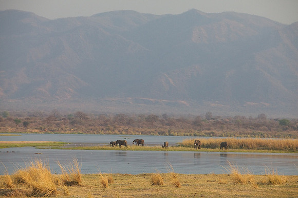 Zimbabwe_Safari 001