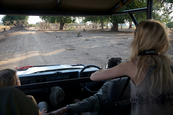 Zimbabwe_Safari 015