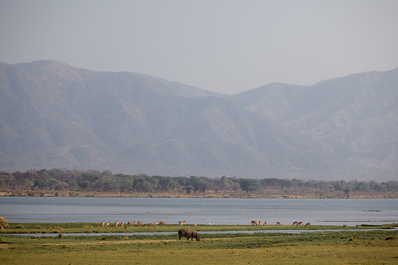 Zimbabwe_Safari 032