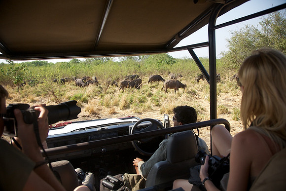 Zimbabwe_Safari 042