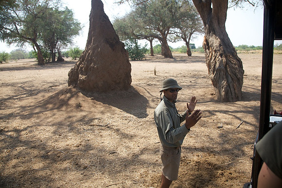 Zimbabwe_Safari 046