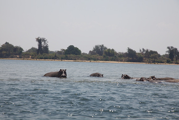 Zimbabwe_Safari 057