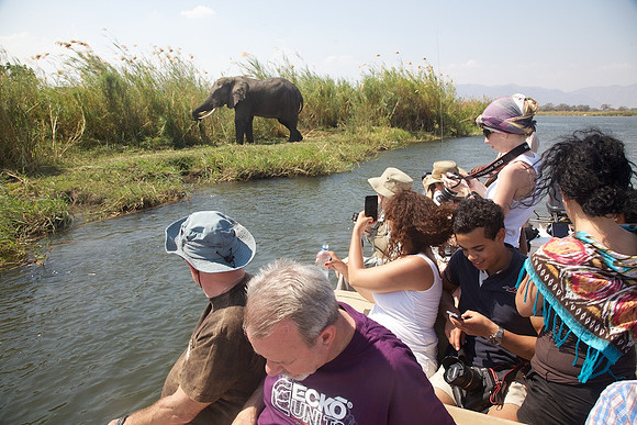 Zimbabwe_Safari 059