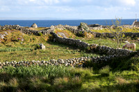 CornaRon-0588