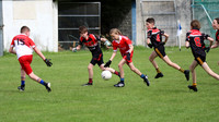 FÉILE PEILE GAEL LINN
