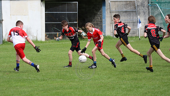 FÉILE PEILE GAEL LINN