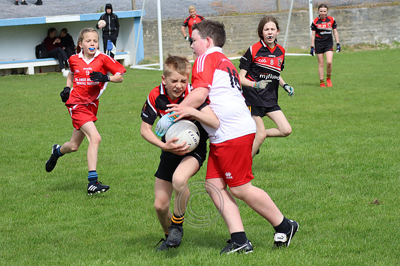 FÉILE PEILE GAEL LINN