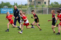 FÉILE PEILE GAEL LINN