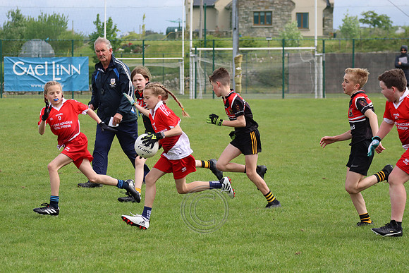 FÉILE PEILE GAEL LINN