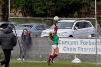 FÉILE PEILE GAEL LINN