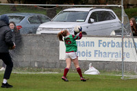 FÉILE PEILE GAEL LINN