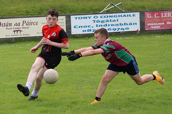 FÉILE PEILE GAEL LINN
