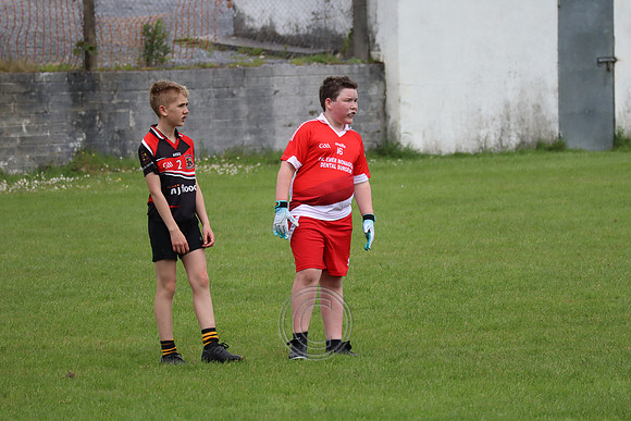 FÉILE PEILE GAEL LINN