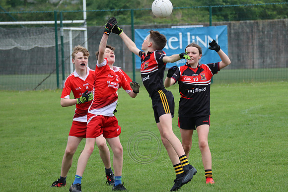 FÉILE PEILE GAEL LINN