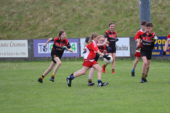 FÉILE PEILE GAEL LINN