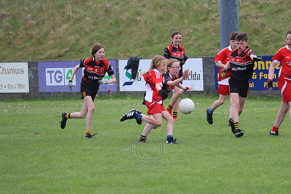 FÉILE PEILE GAEL LINN