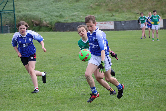 FÉILE PEILE GAEL LINN
